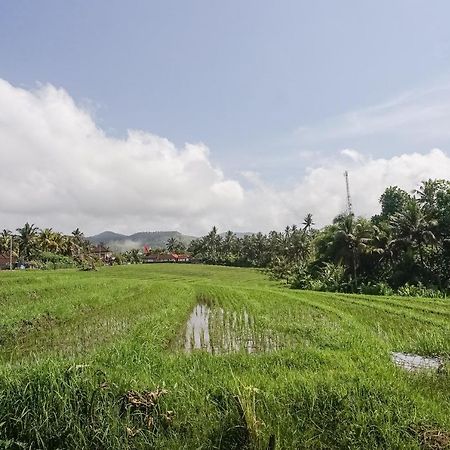 Mejan Home Stay Balian Экстерьер фото