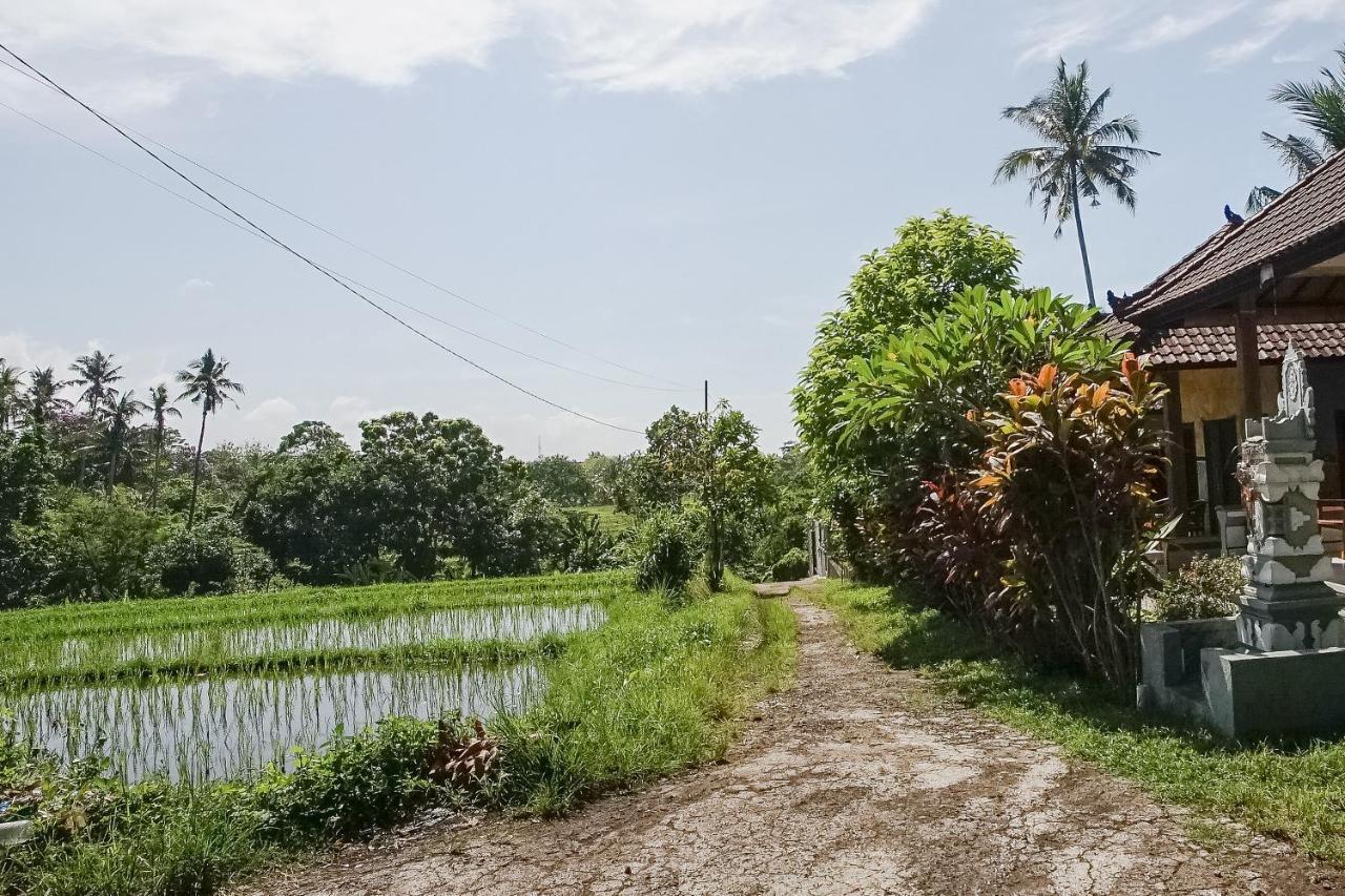 Mejan Home Stay Balian Экстерьер фото