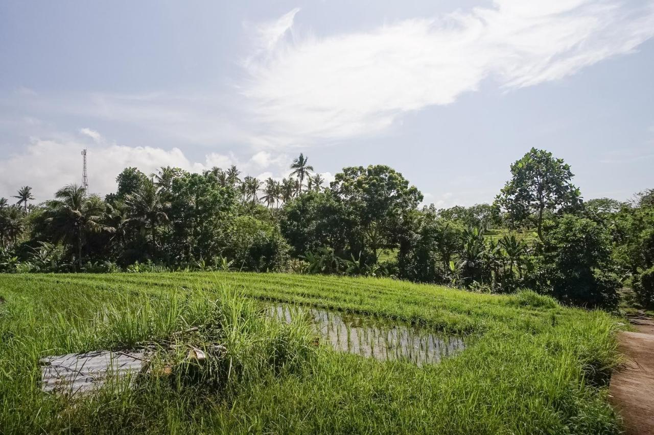 Mejan Home Stay Balian Экстерьер фото